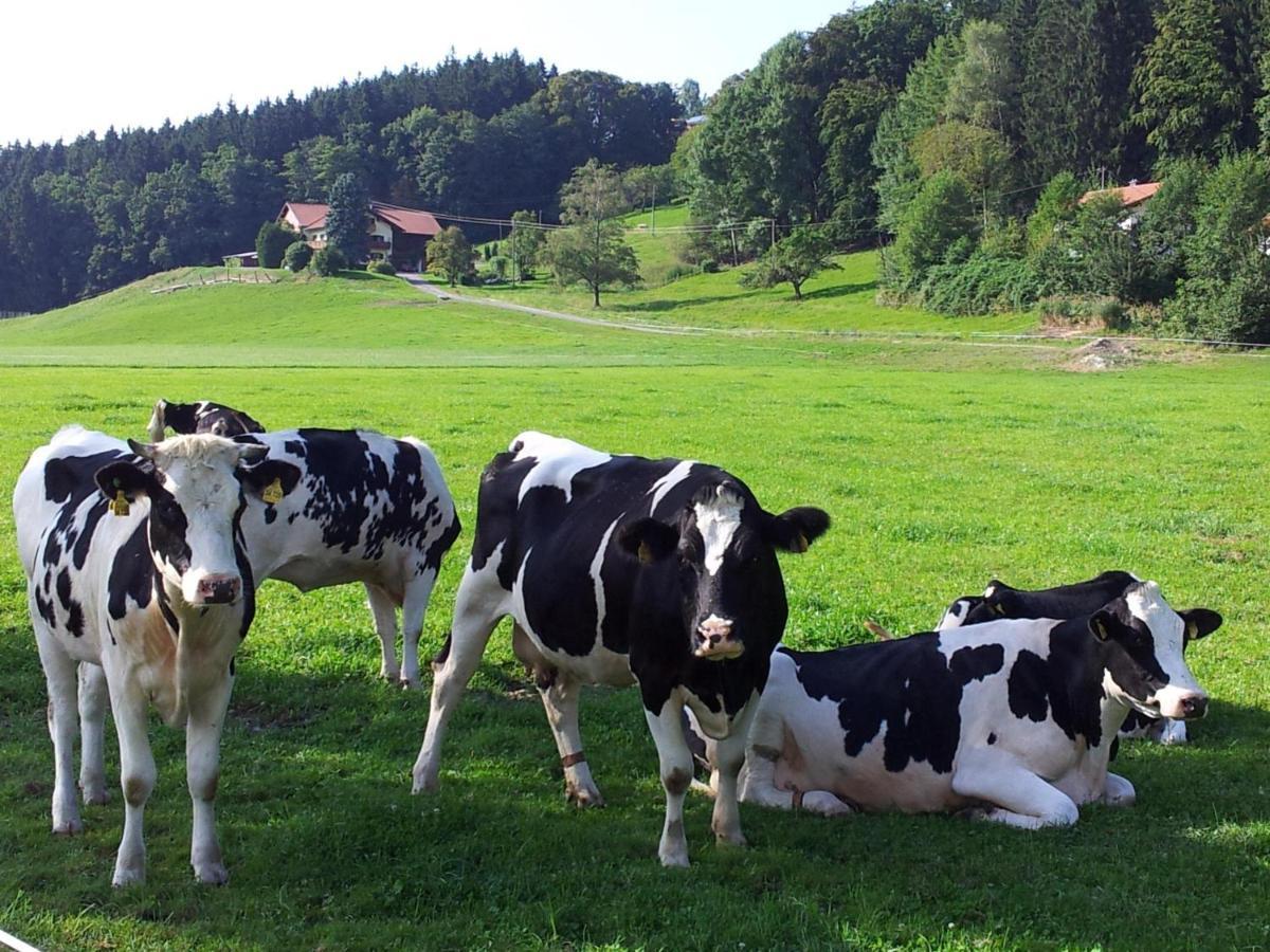 Zwischen Chiemsee Und Bergen Dg Bernau am Chiemsee Eksteriør billede